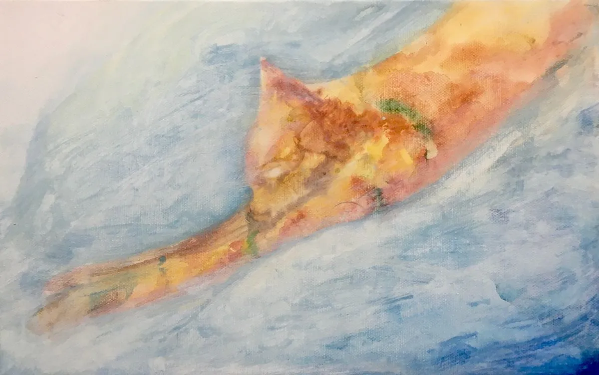 포트폴리오 이미지