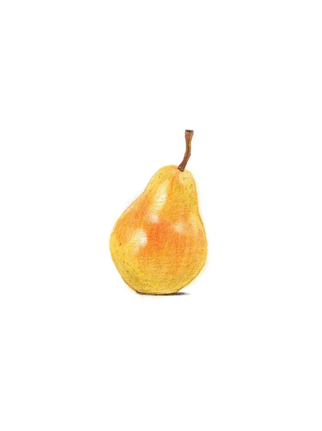 이미지 11
