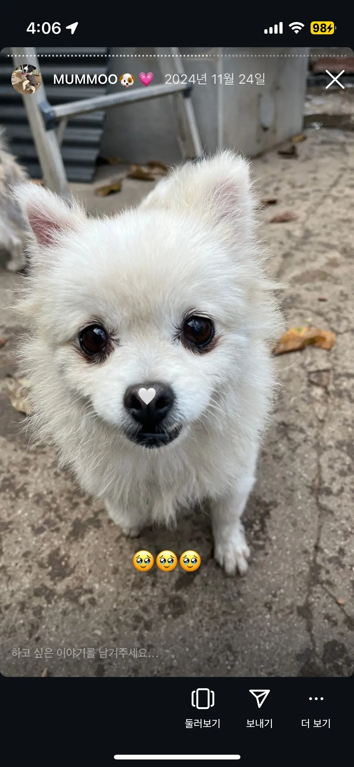 [월 4회] 김명언의 반려견 산책 패스