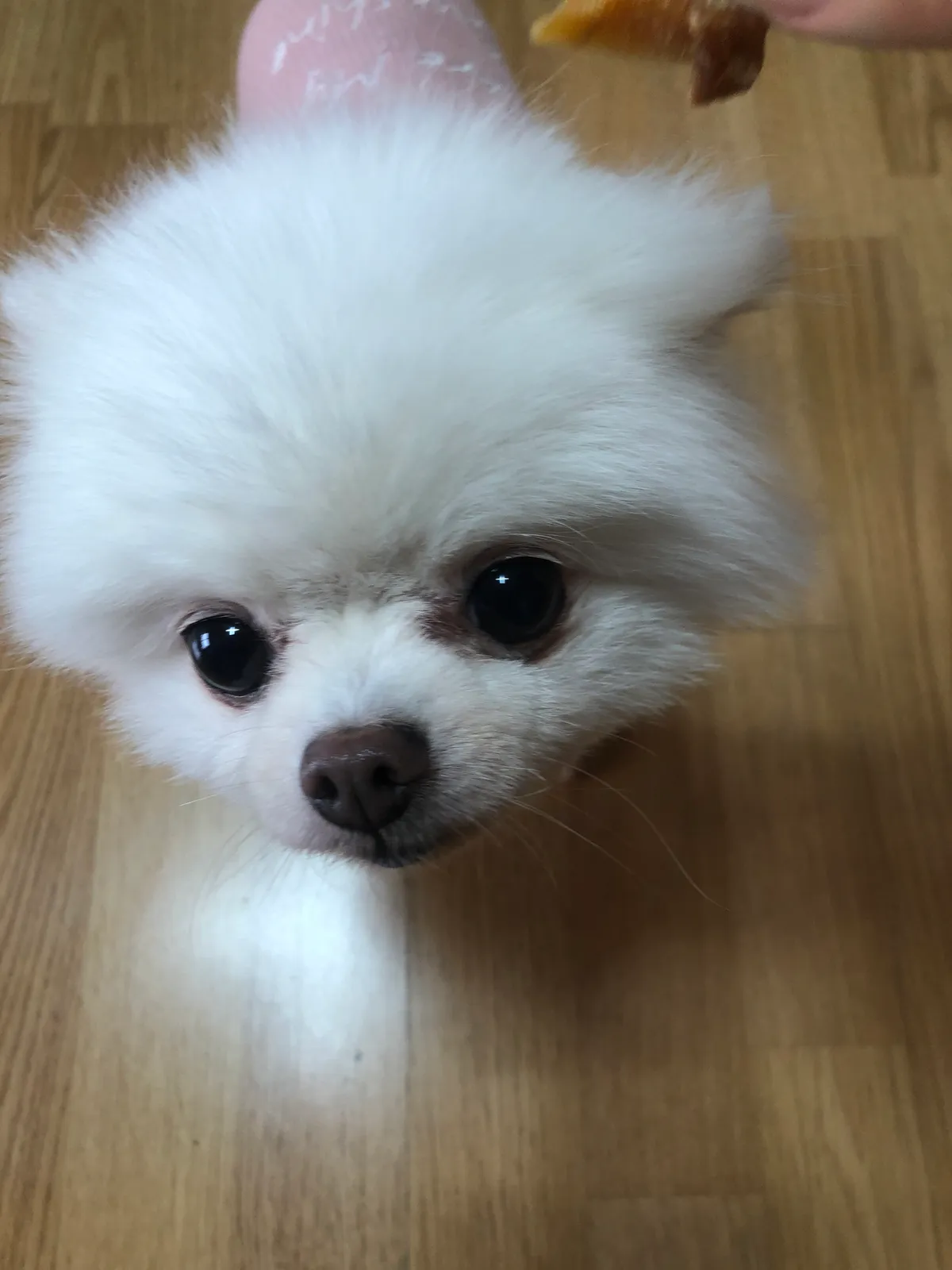 이미지 4