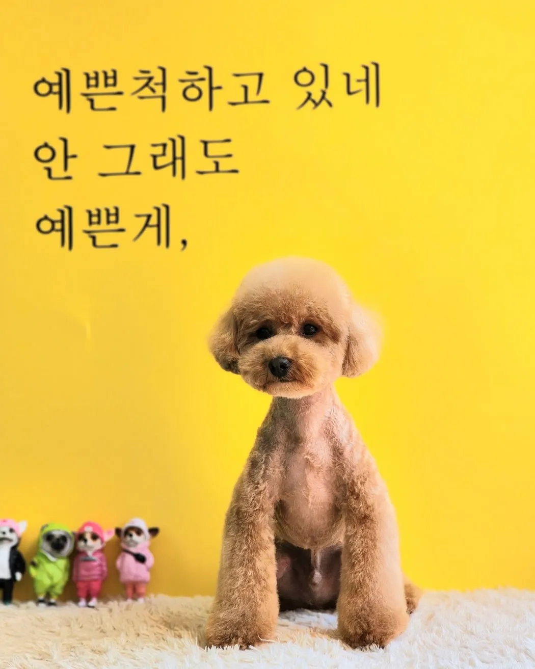 이미지 7
