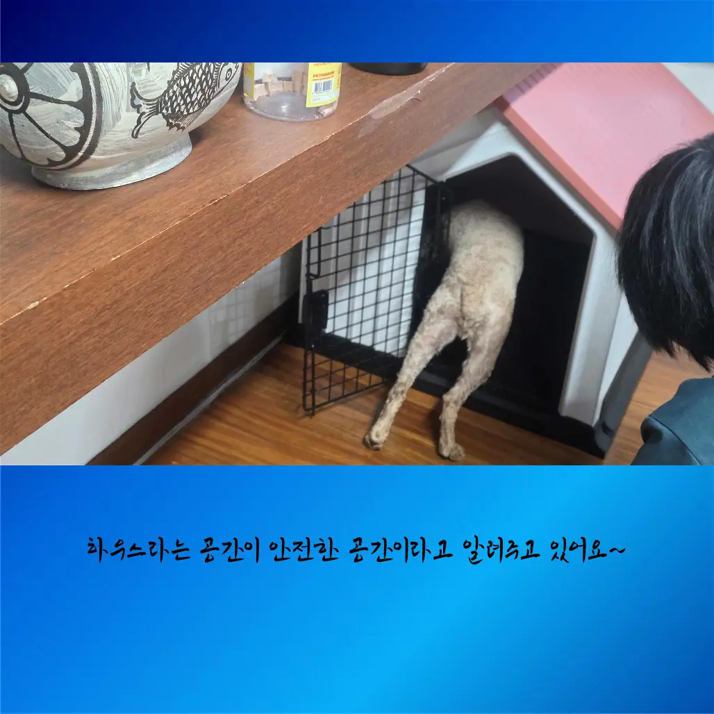 이미지 8