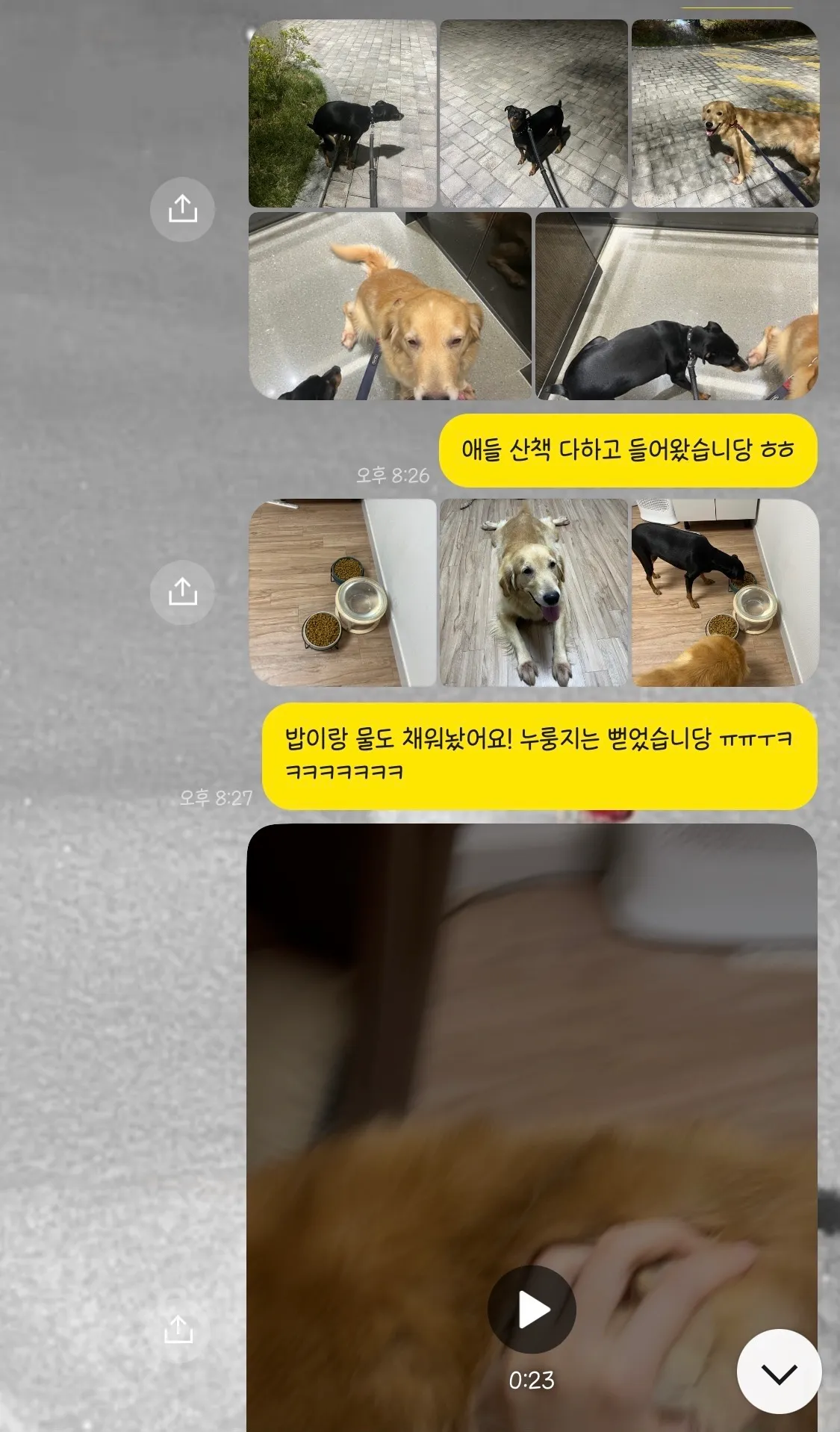 이미지 4