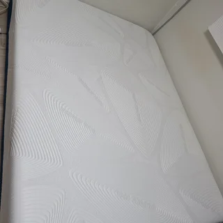 강아지 오줌 흔적 냄새 제거