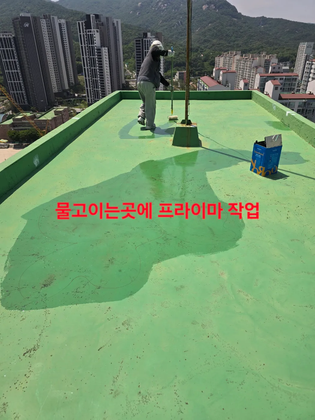 이미지 12