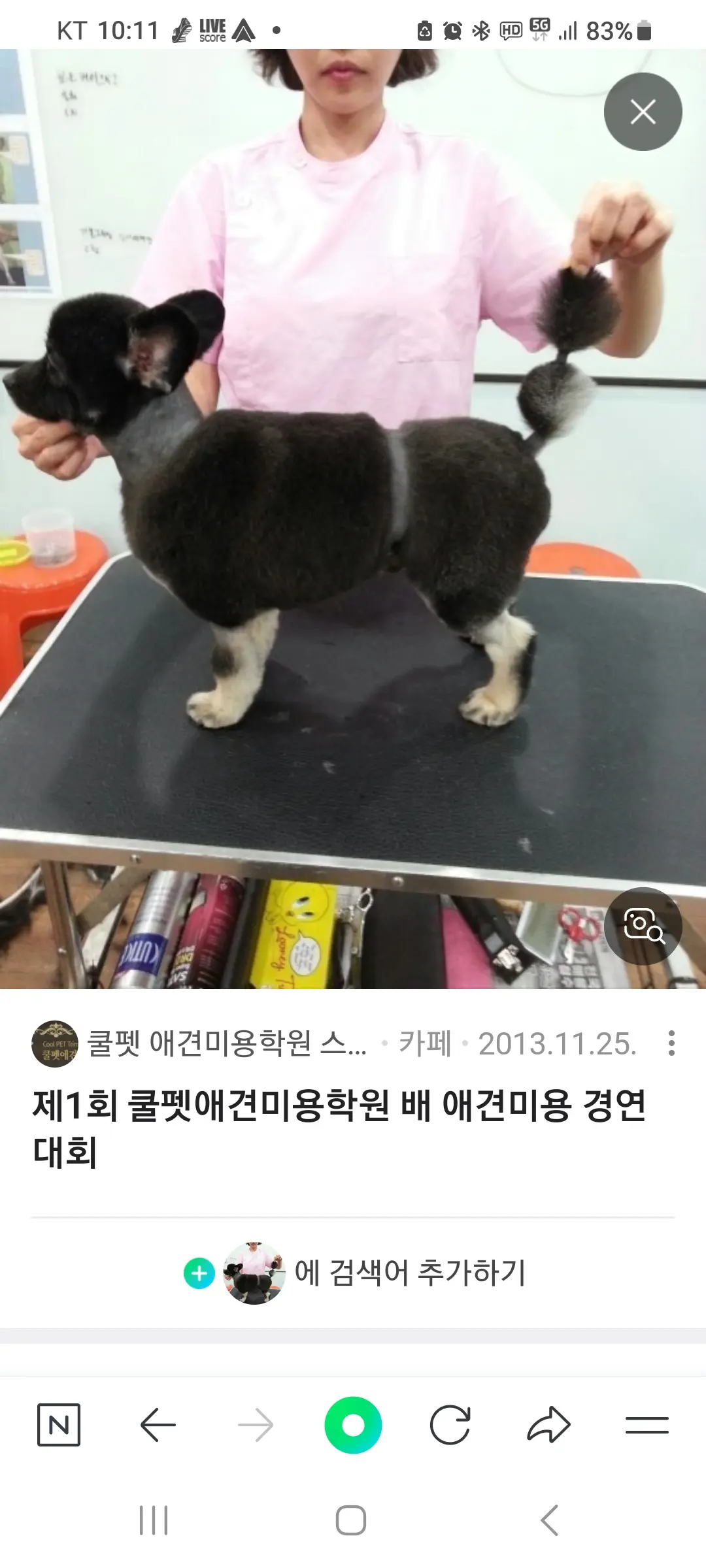 이미지 6