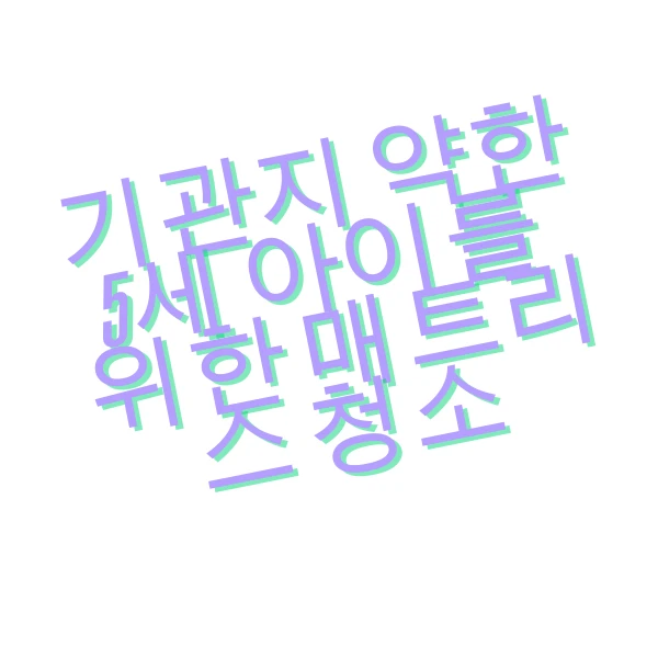 포트폴리오 이미지