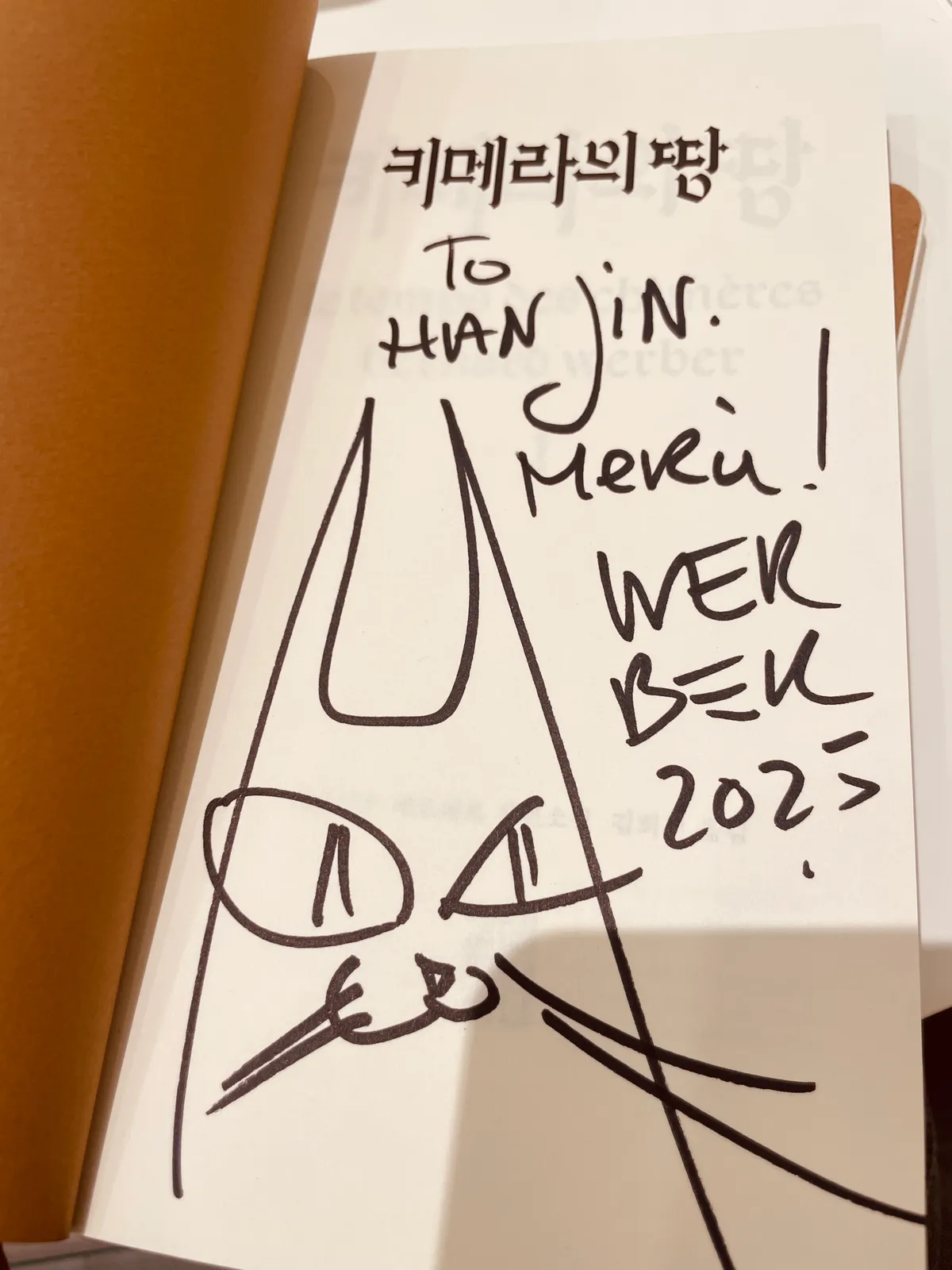 이미지 8