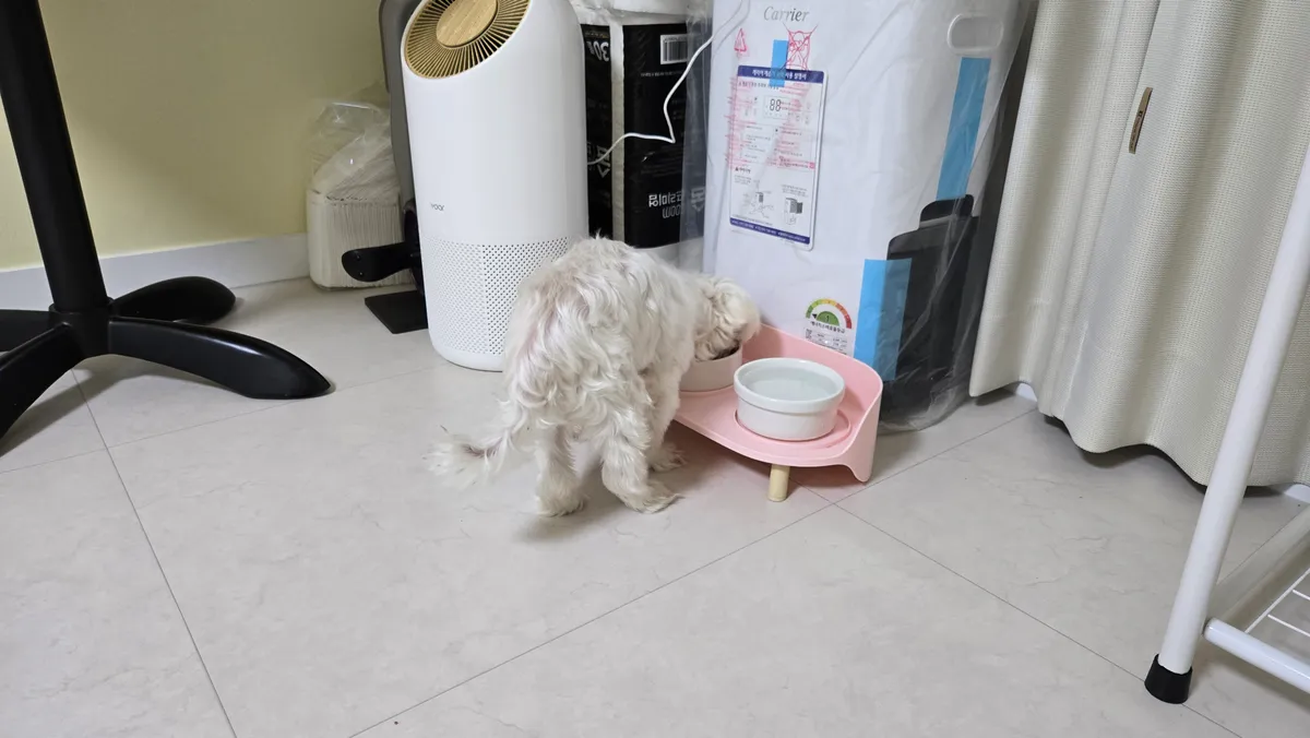 이미지 7