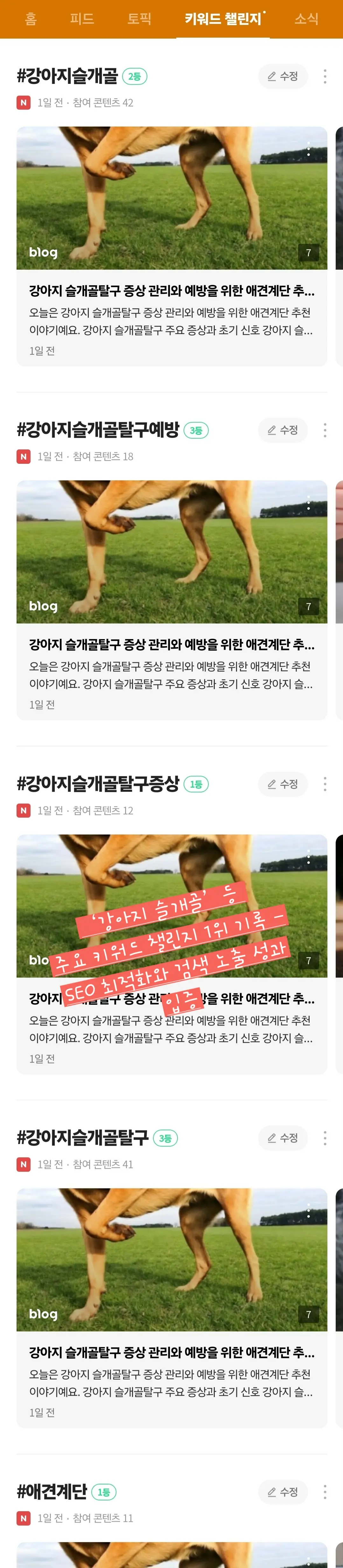 이미지 8