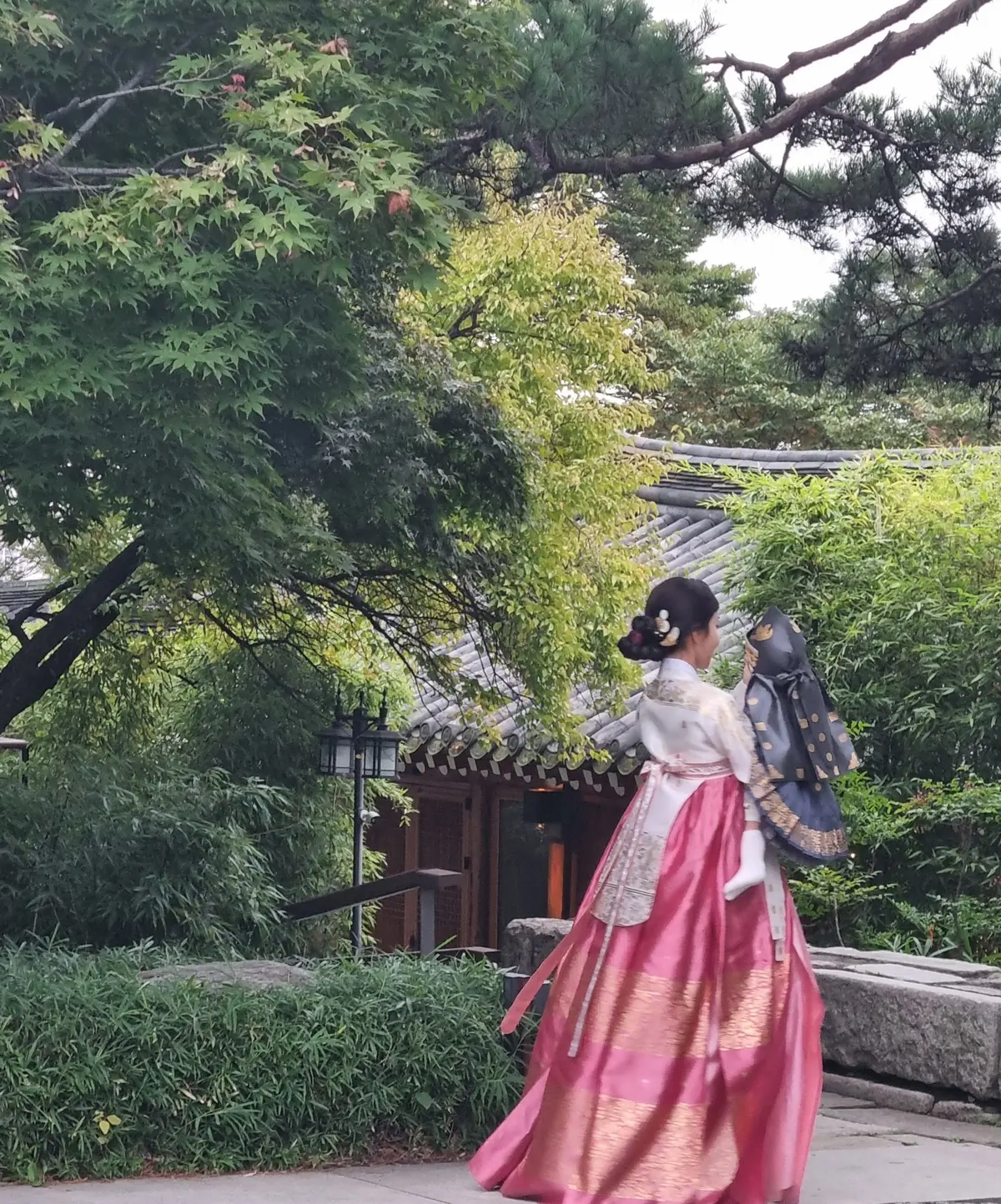 이미지 5