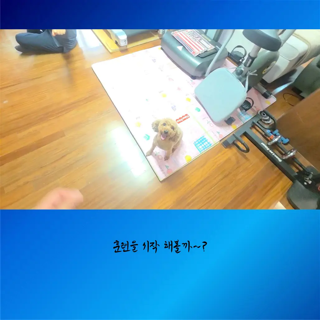 이미지 10