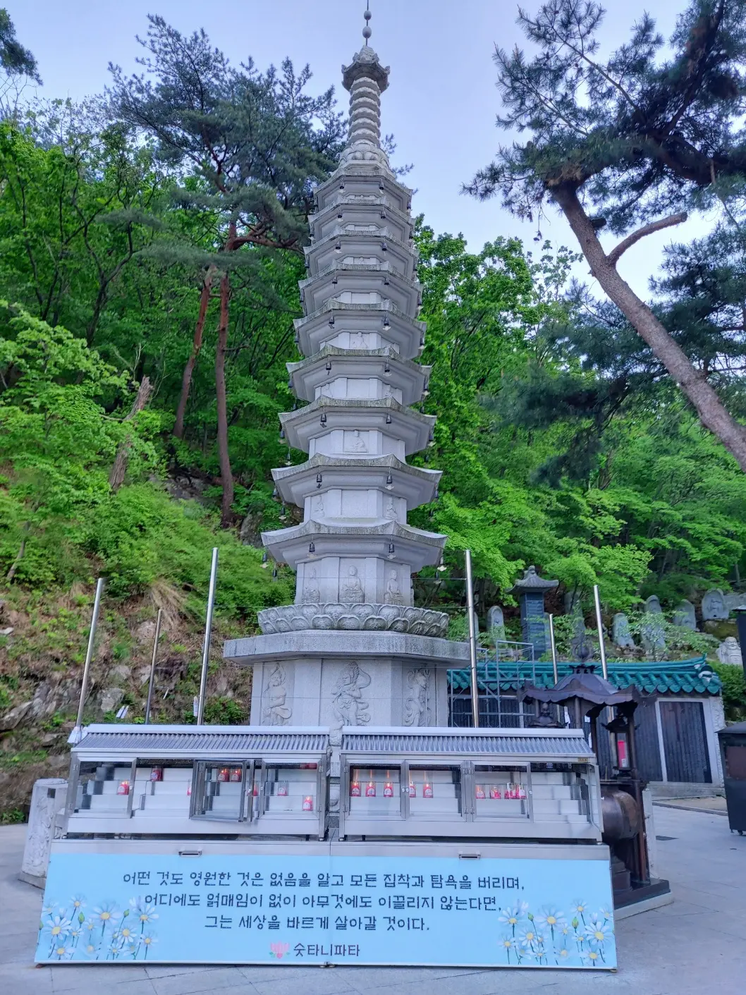 이미지 9