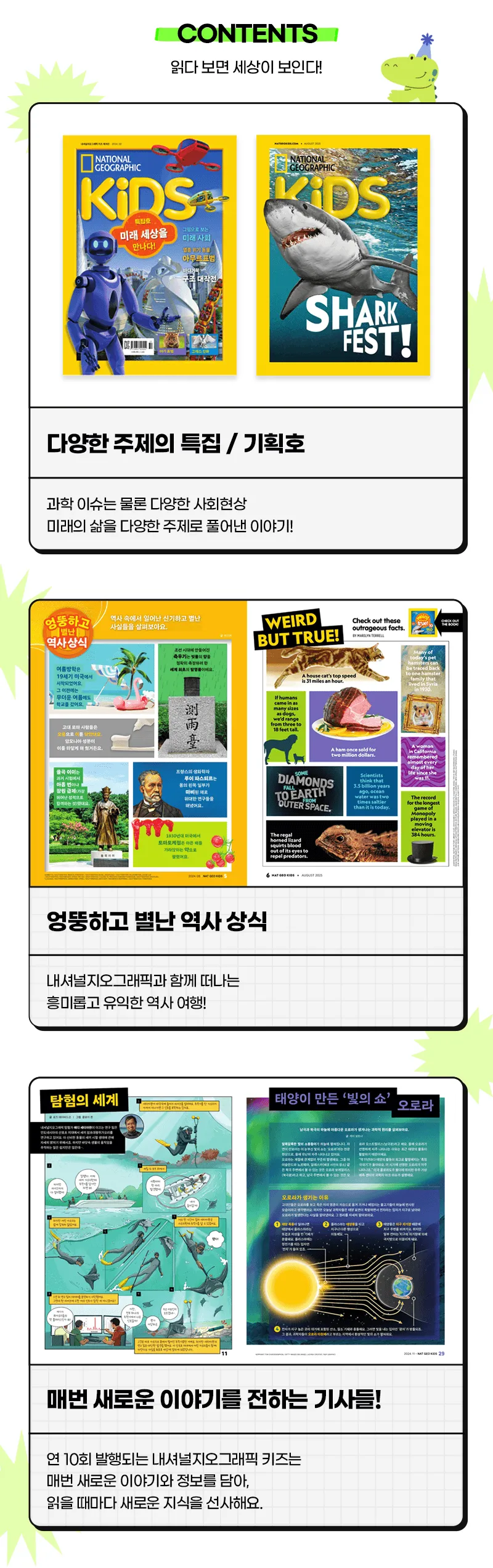 이미지 6