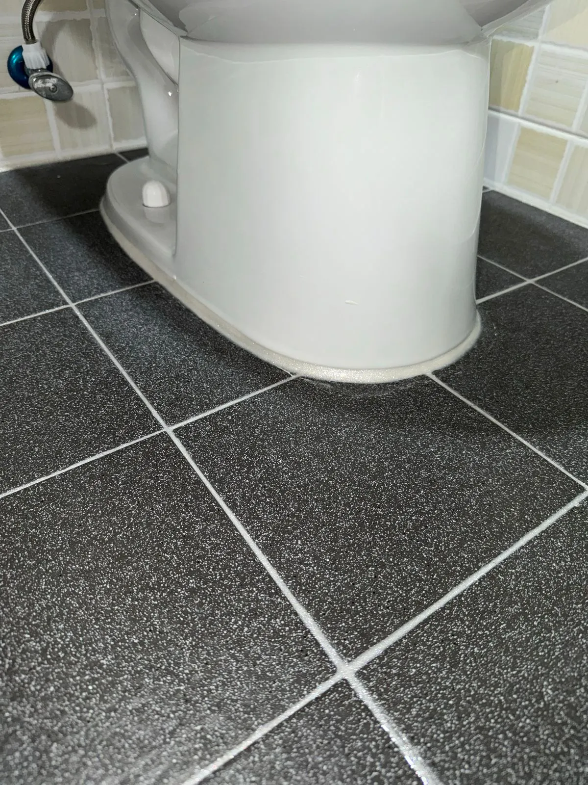 이미지 5