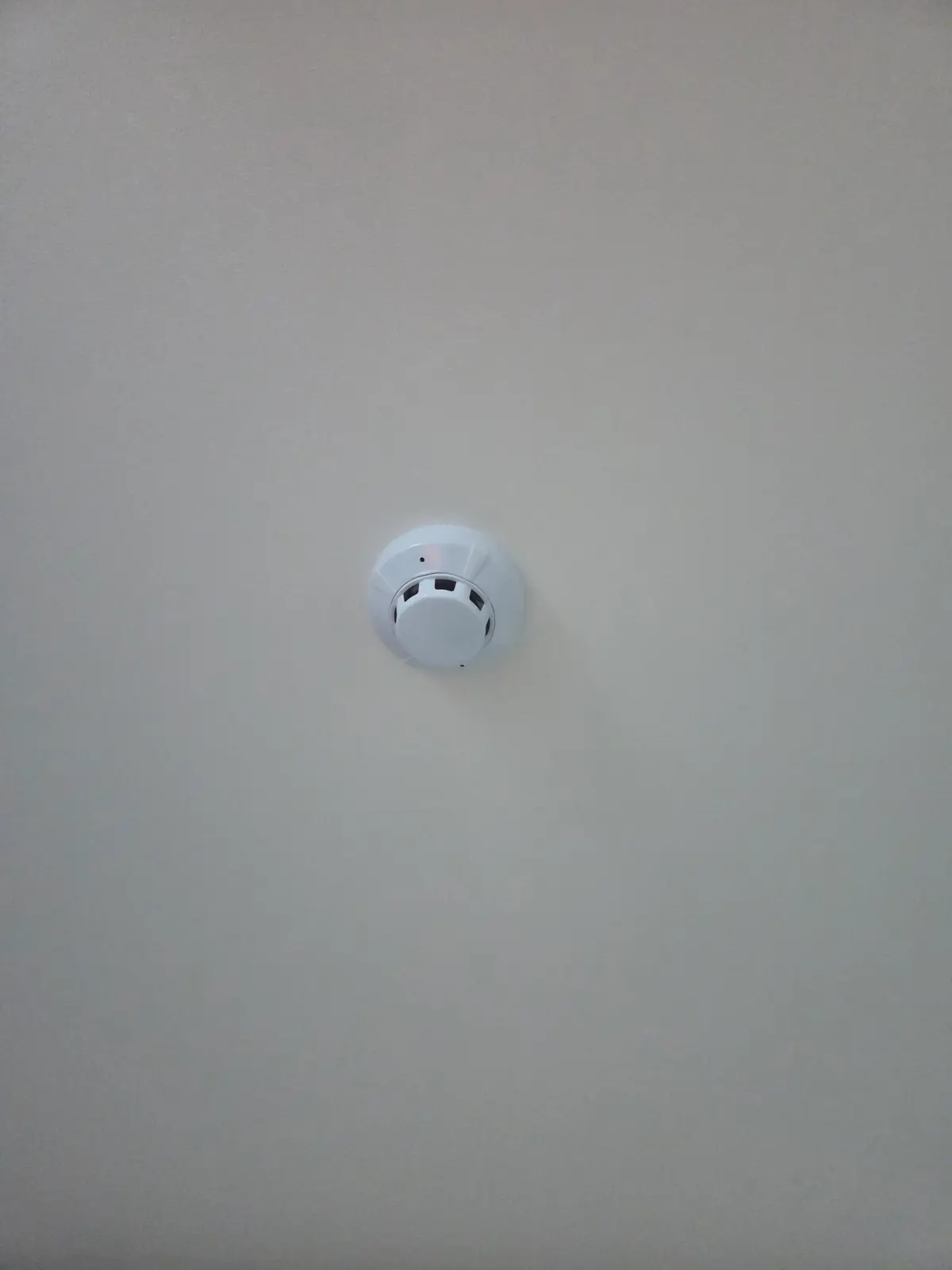 이미지 6