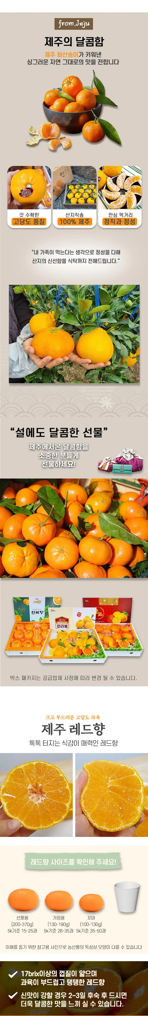 이미지 4