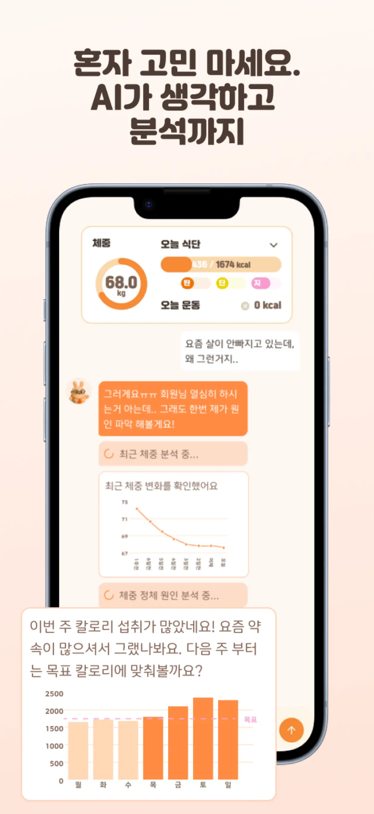 이미지 6