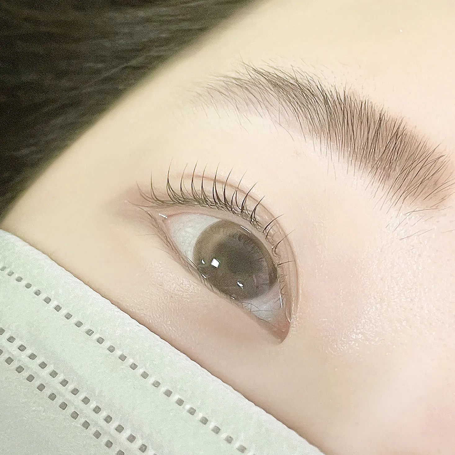 이미지 5