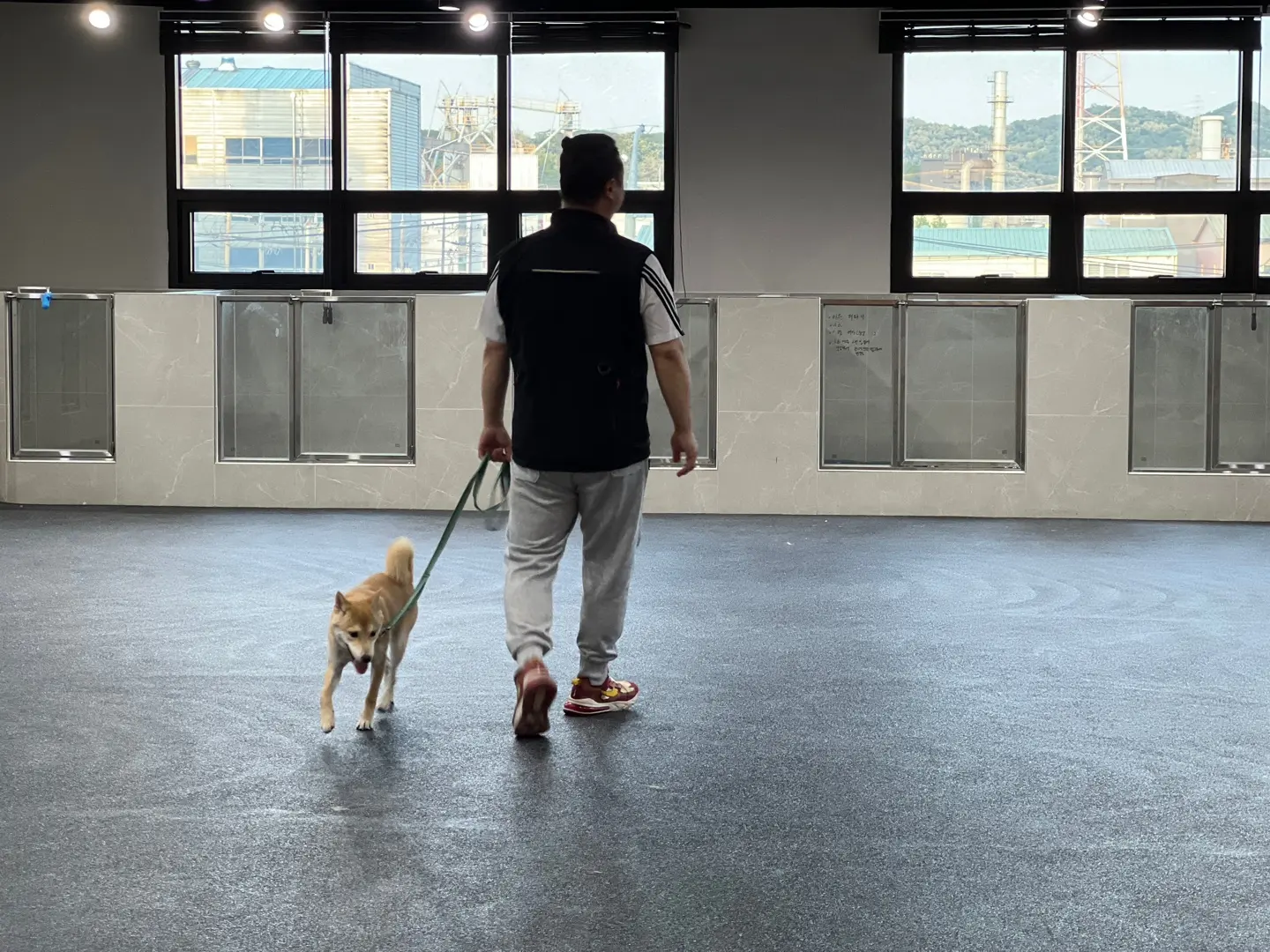 이미지 4