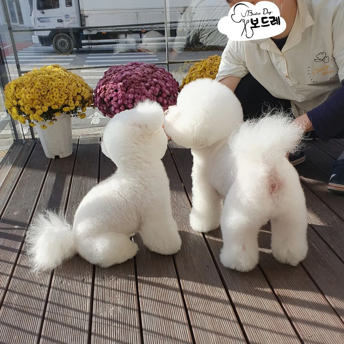 이미지 3