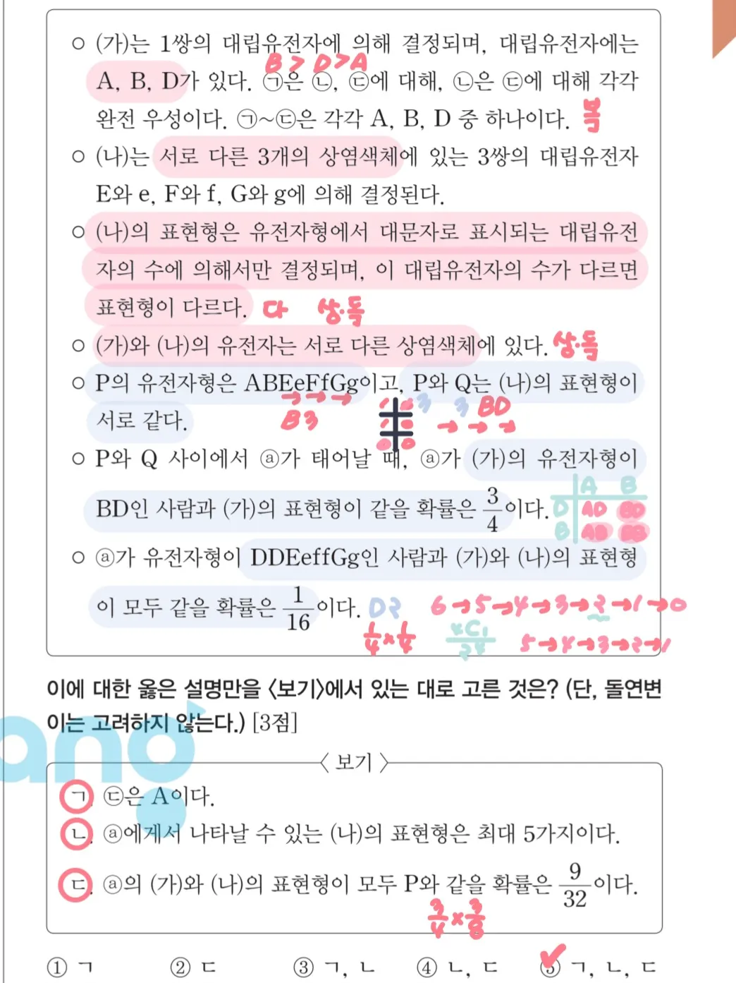이미지 12