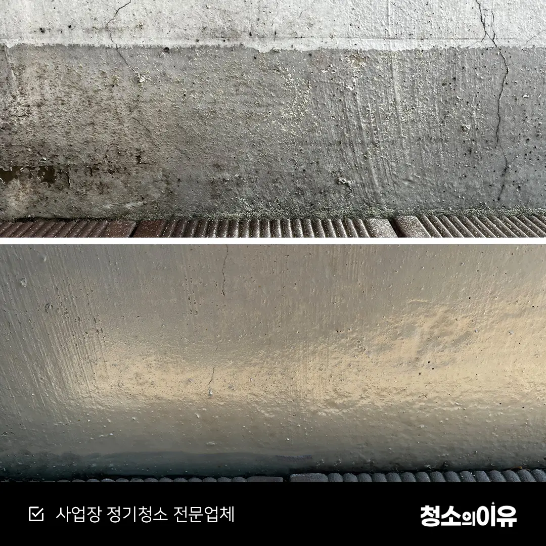 이미지 8