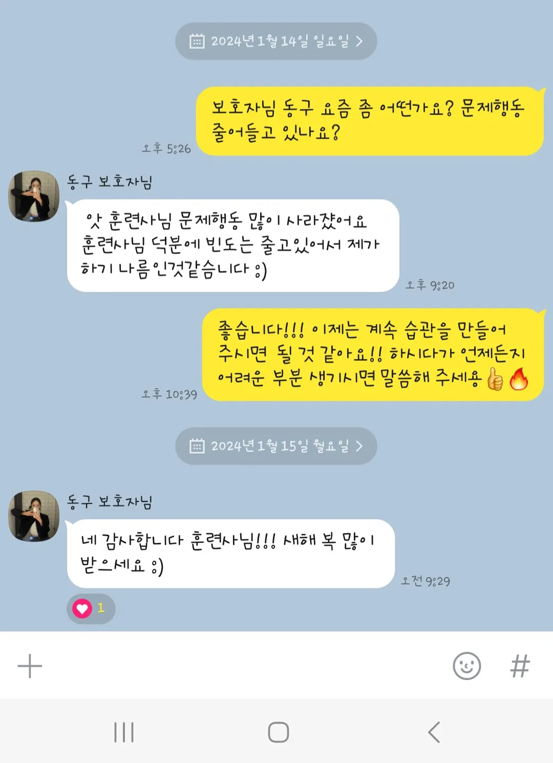 이미지 6