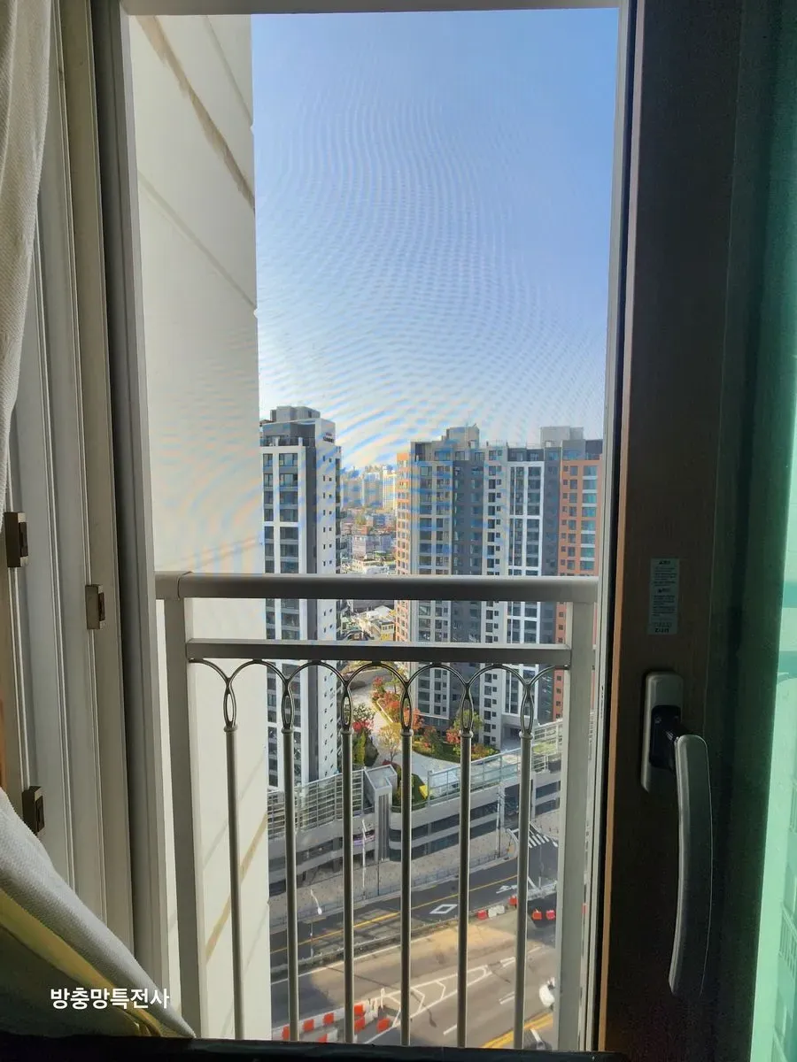 이미지 28