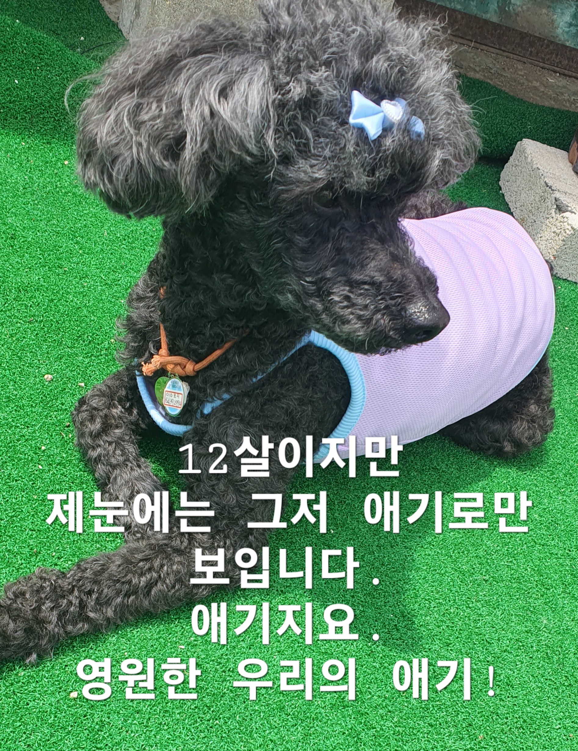 이미지 8
