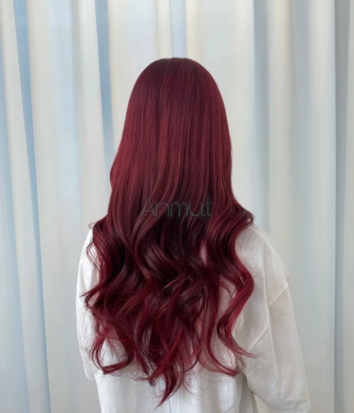 이미지 5