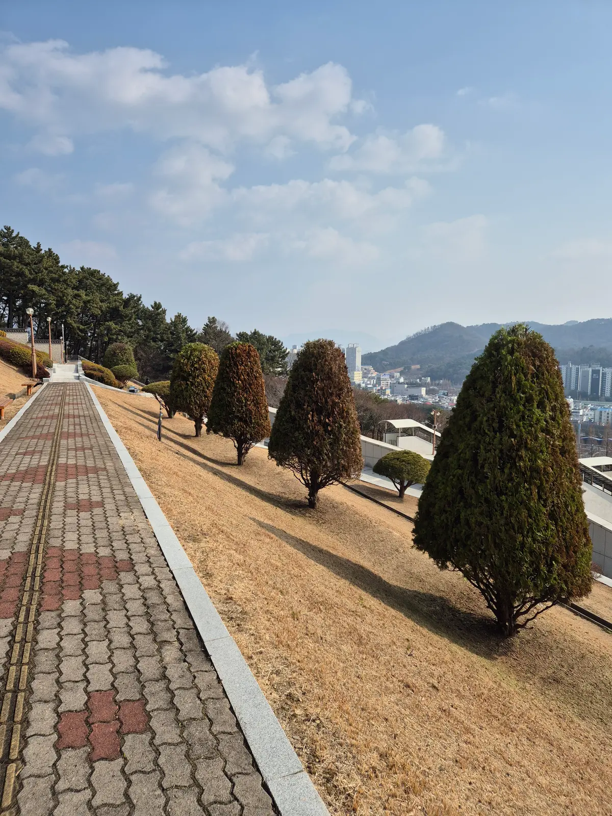 이미지 20