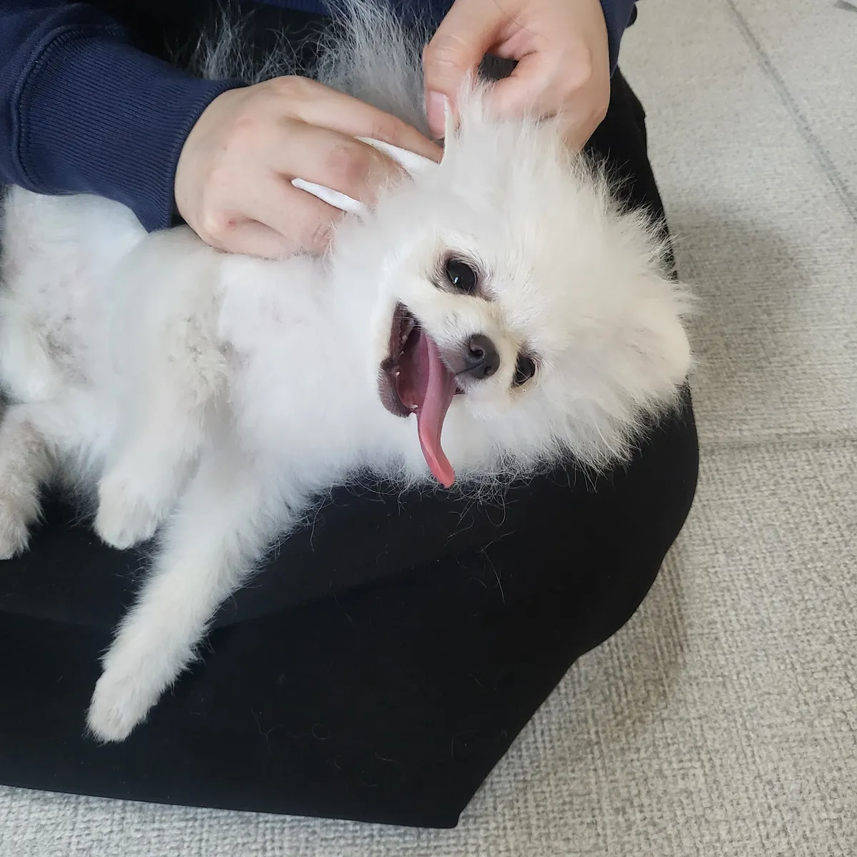 이미지 7