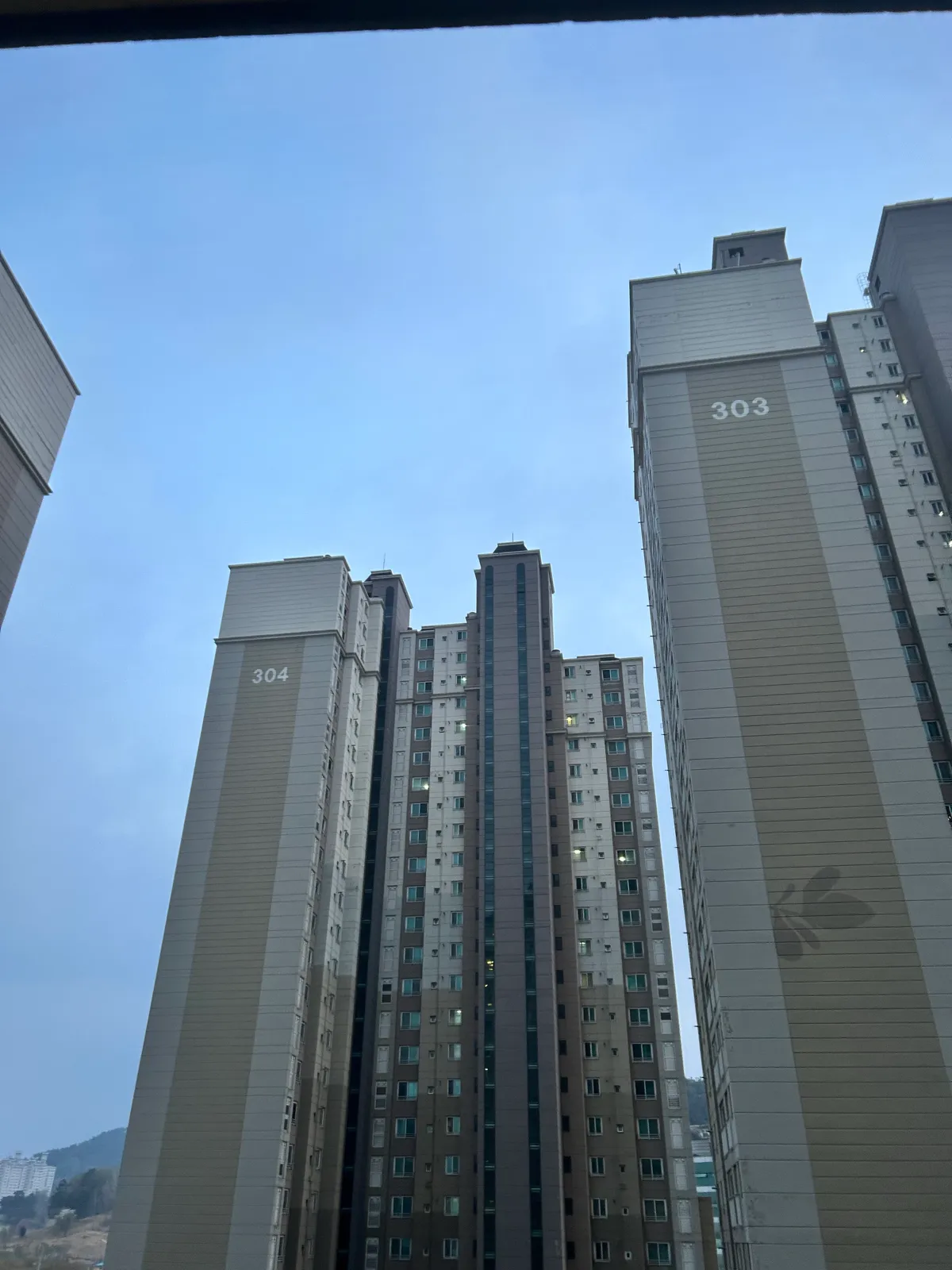 이미지 12