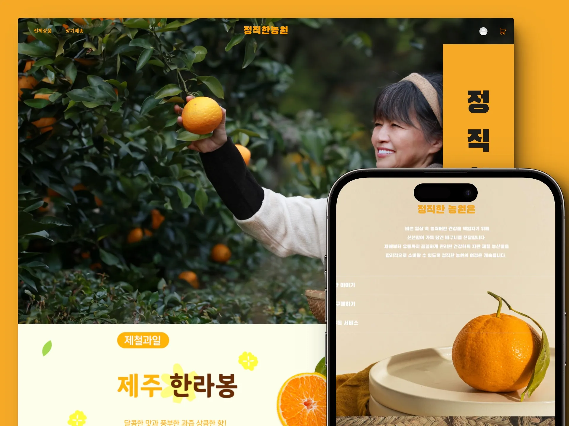 포트폴리오 이미지