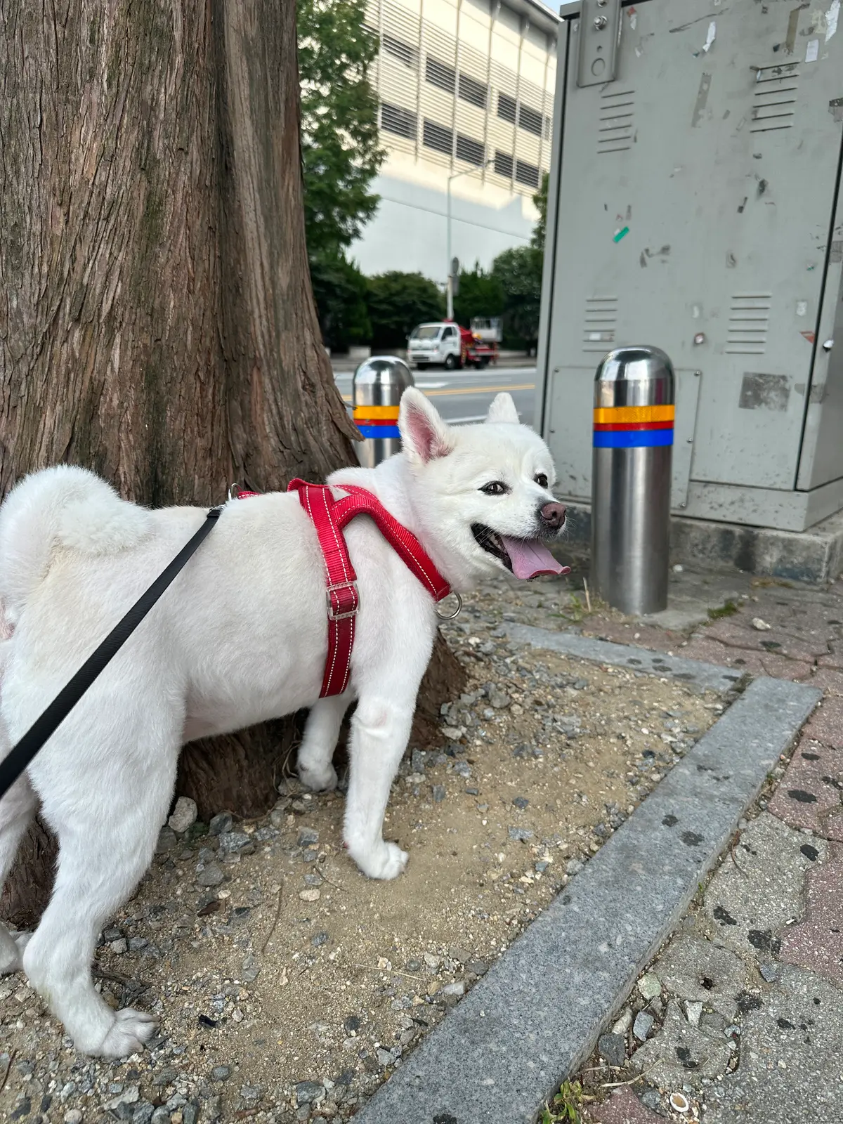이미지 8