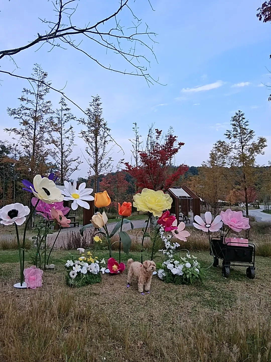 이미지 16