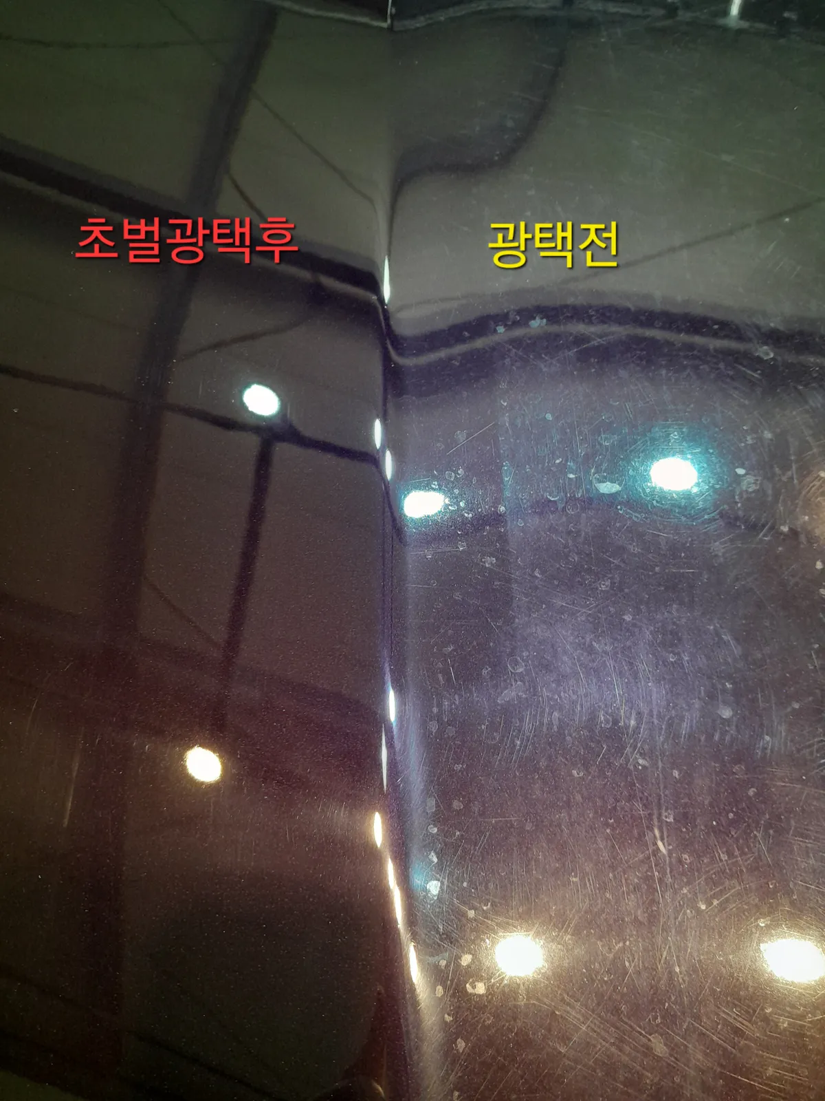 이미지 8