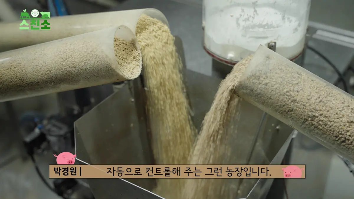 이미지 9