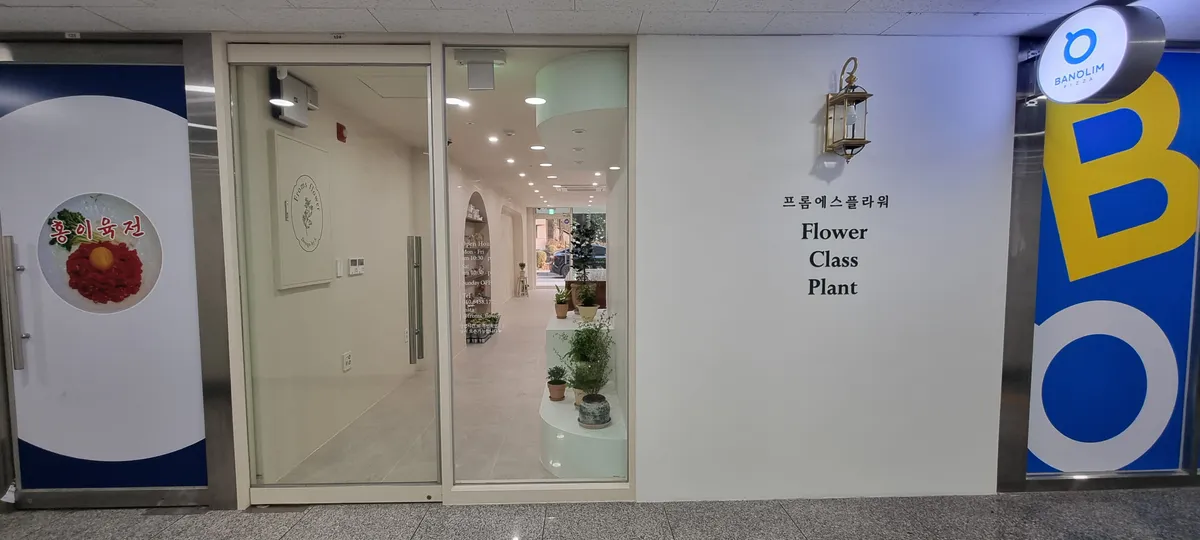 이미지 7