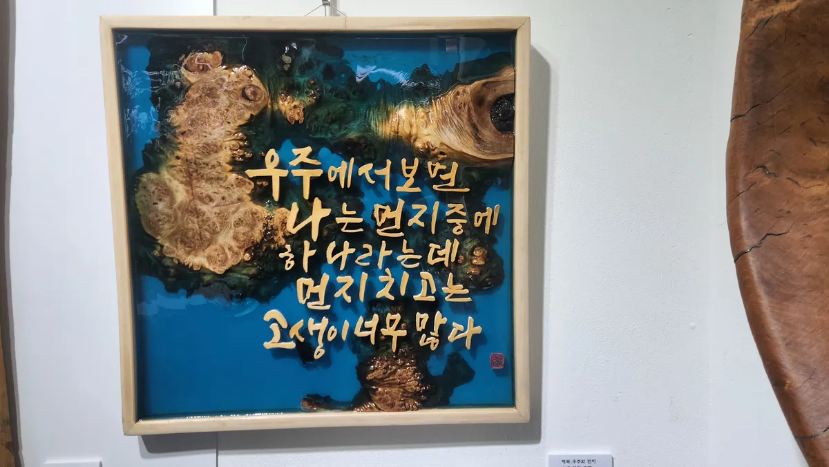 이미지 12