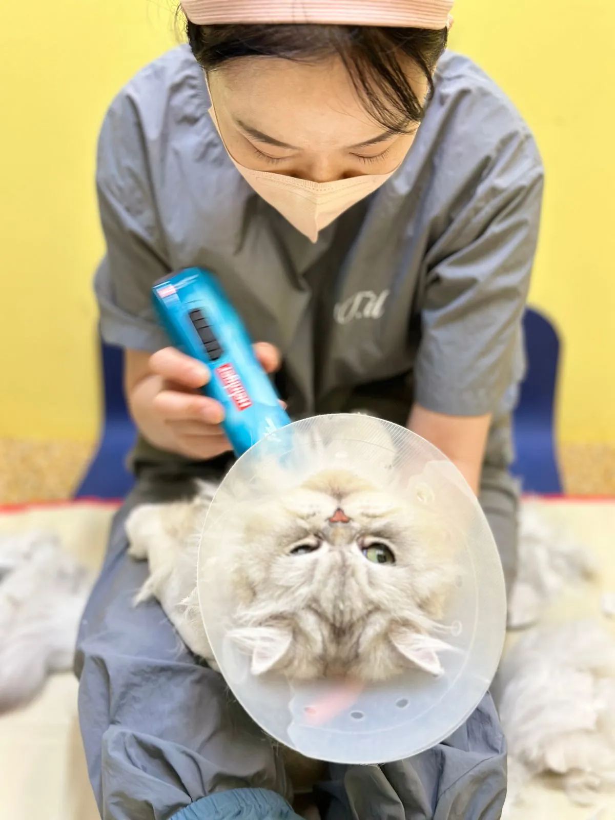 이미지 9