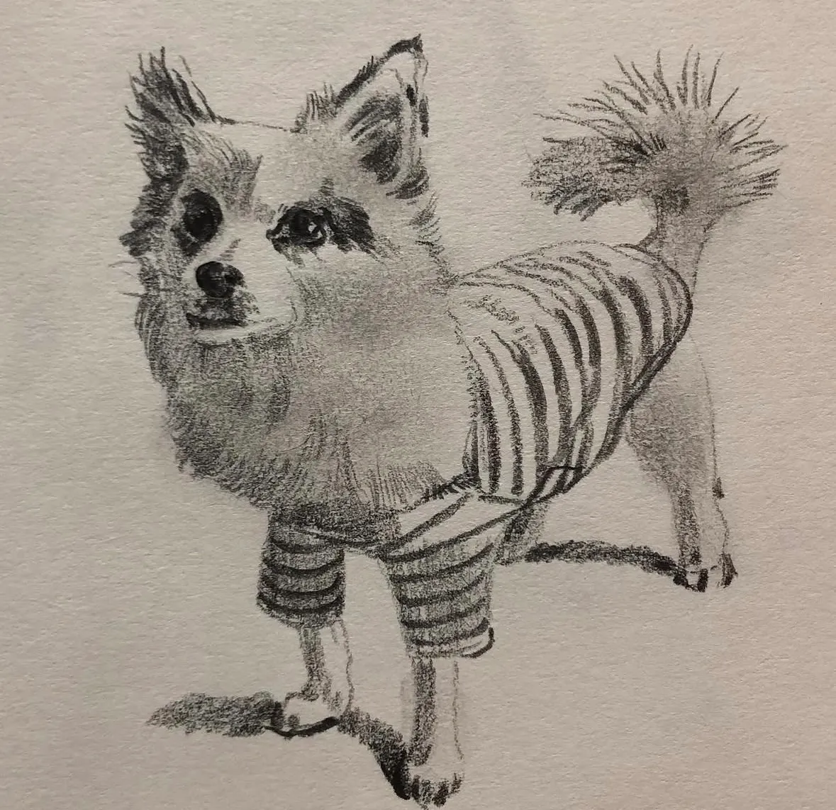 이미지 8