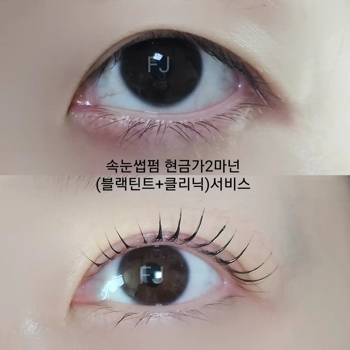 이미지 10