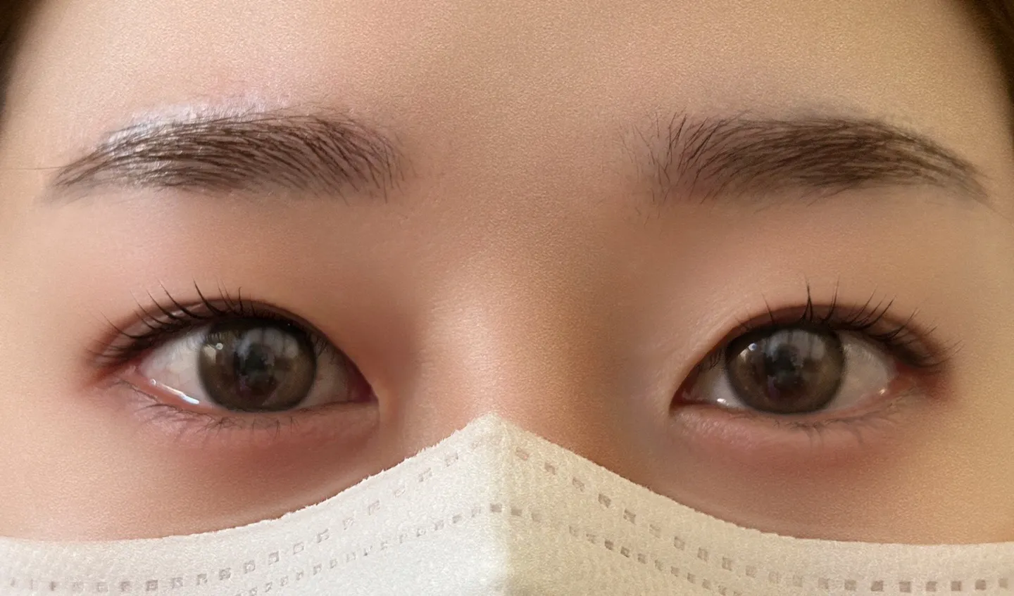 이미지 3