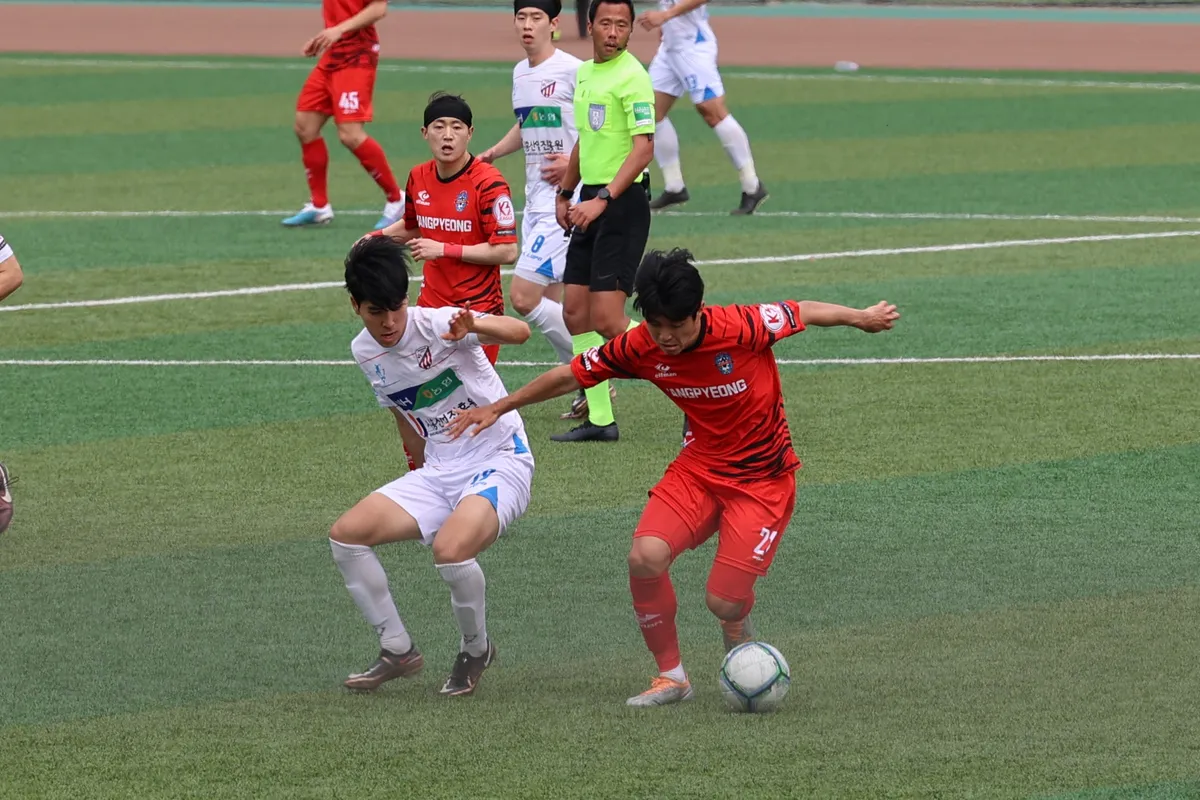 이미지 5