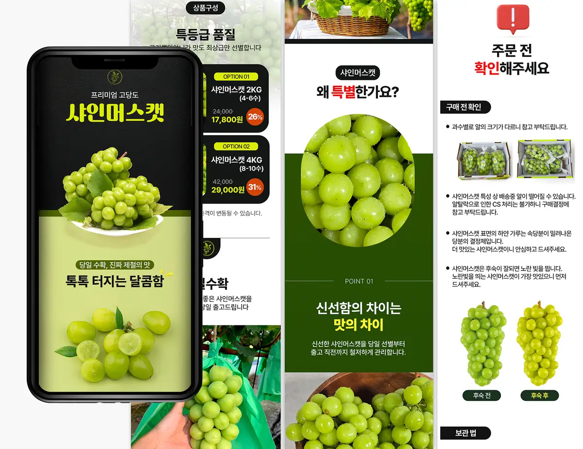 이미지 5