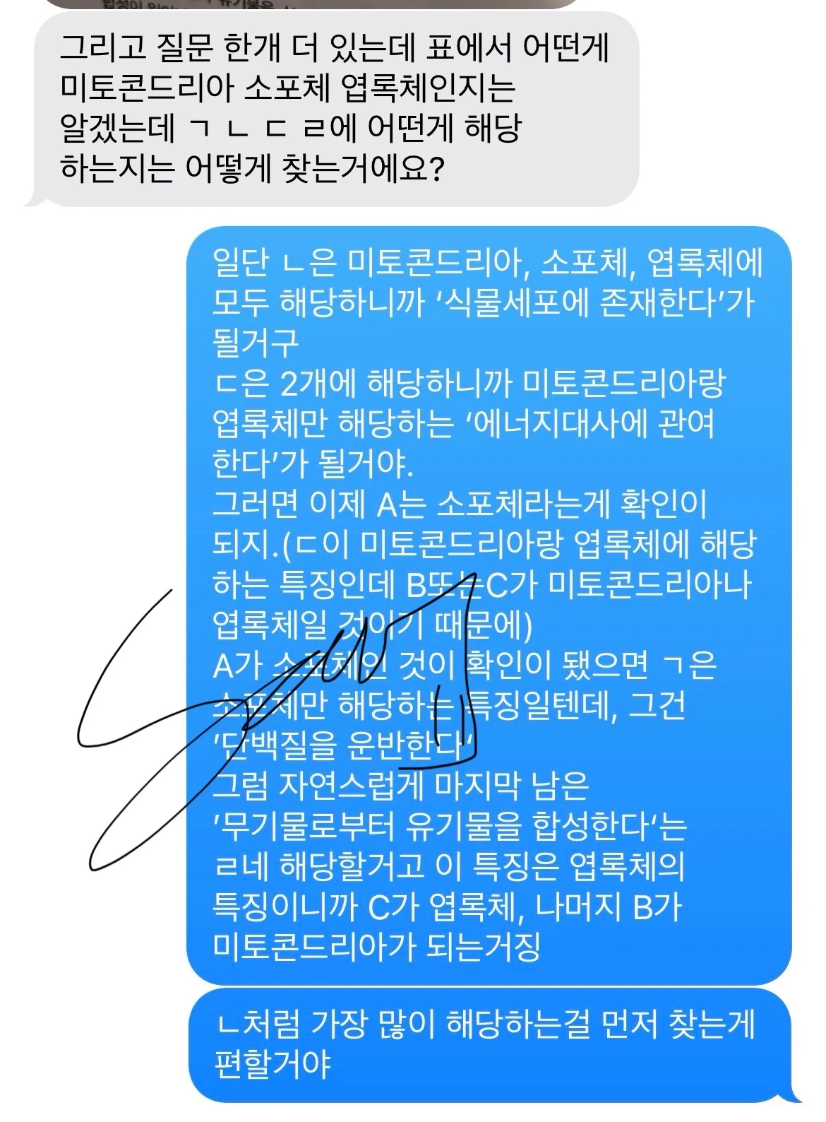 이미지 10