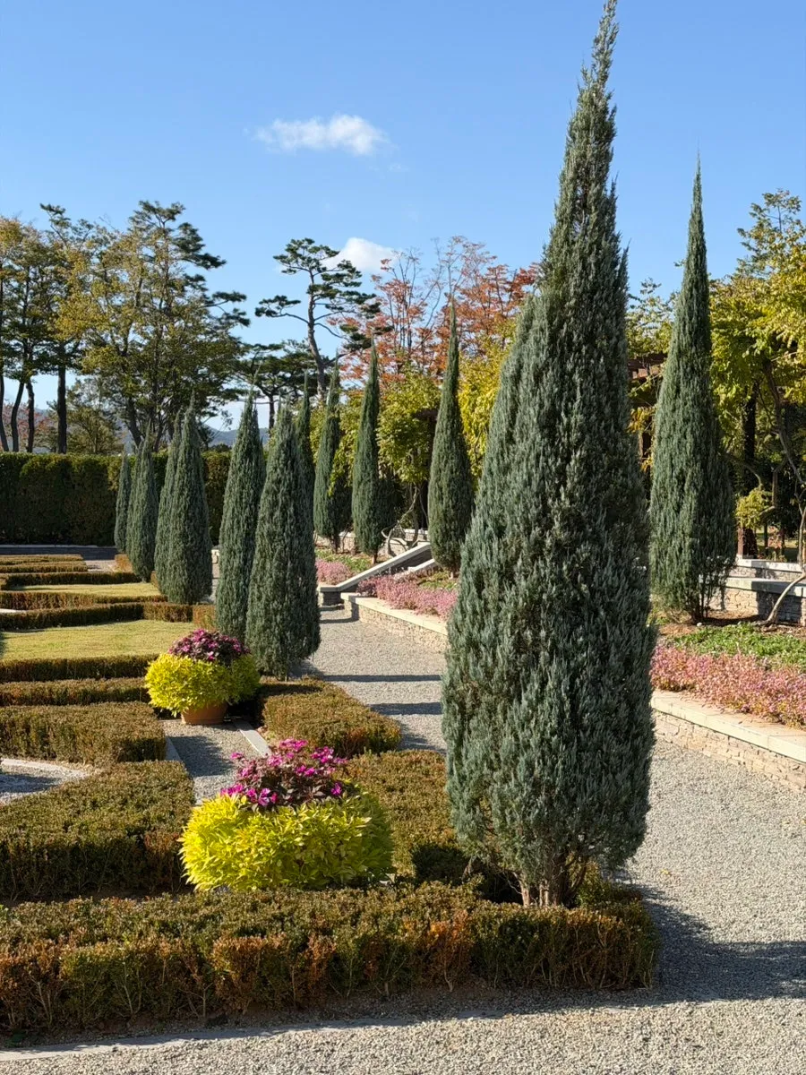 이미지 16