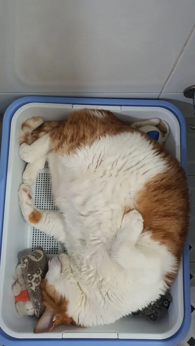 이미지 8